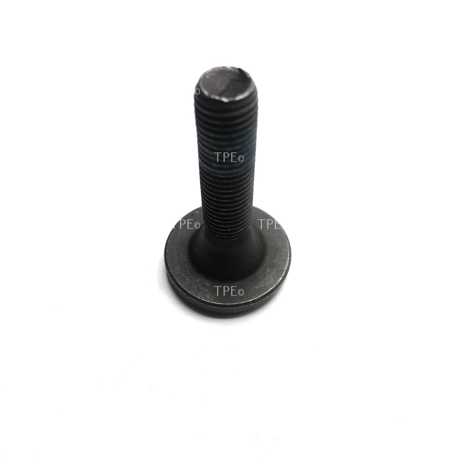 FI.MP.19 Miscellaneous Products